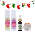 Bright & Beautiful Holiday Bundle