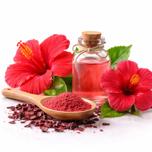 Hibiscus Extract